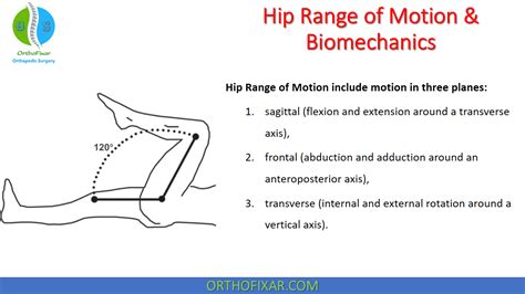 Hip Range Of Motion Measurements