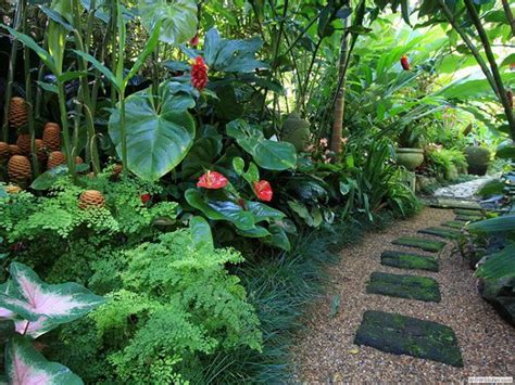 14 Cold Hardy Tropical Plants to Create a Tropical Garden in Cold ...