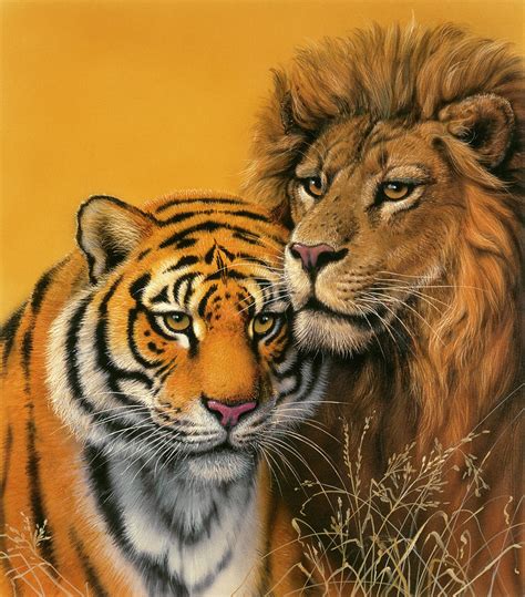 Lion & Tiger Painting by Harro Maass - Fine Art America