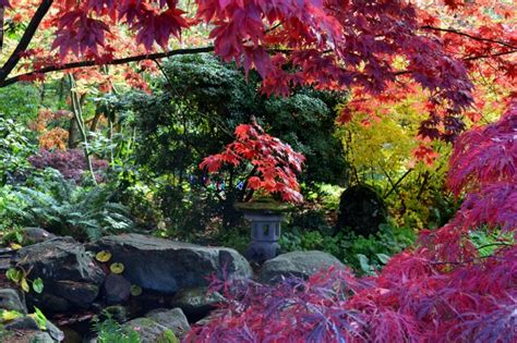 Bellevue Botanical Garden - Greg Prohl: My personal site about travel ...