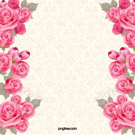 Pink Rose Flowers Background Images | Best Flower Site