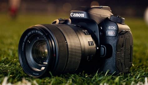 8 Best Lenses for Canon EOS 80D in 2018 | GearOpen