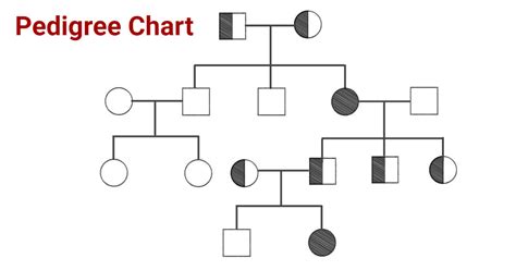 Pedigree Chart- Definition, Interpretation, Symbols, Significances