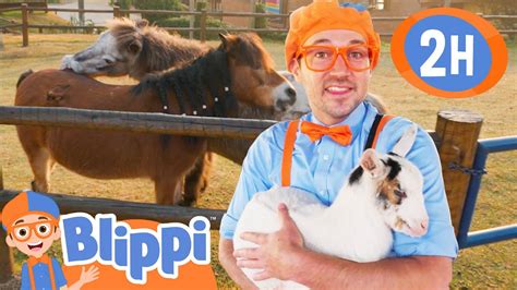 blippi brazil - Youtube Kids