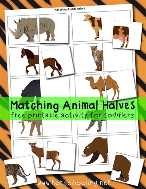 Matching Animal Halves Printable Activity | Zoo preschool, Zoo ...