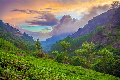 Munnar travel | Kerala, India - Lonely Planet