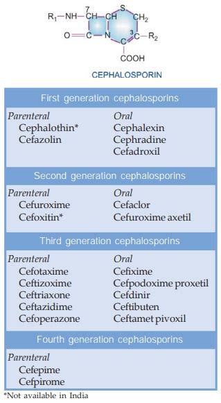 Cephalosporin Mechanism Of Action - cloudshareinfo