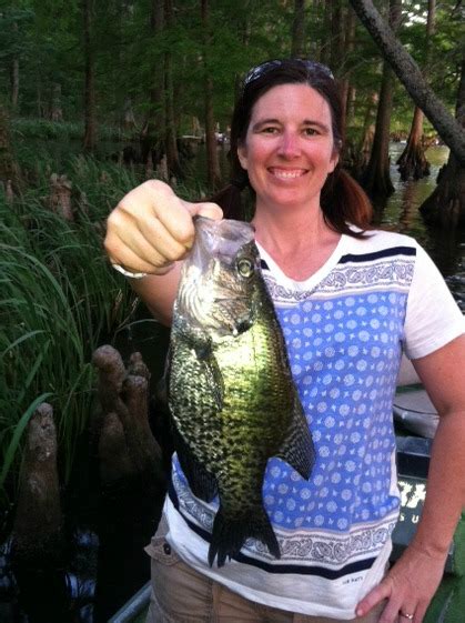 Reelfoot Lake - Fishing — Tennessee State Parks