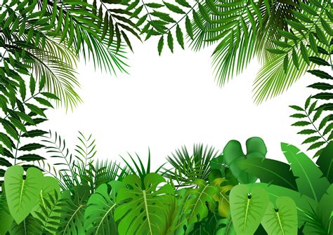 Jungle Vector Art, Icons, and Graphics for Free Download