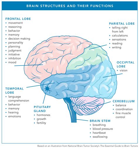 Navigating Fertility Preservation: A Guide for Patients with Brain Tumors