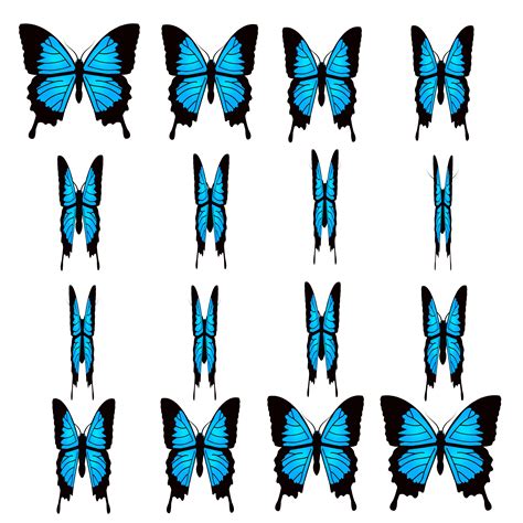 Butterfly animation | OpenGameArt.org