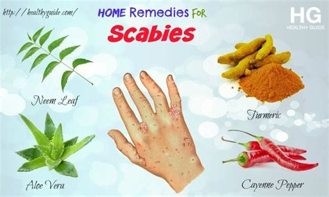 Scabies Rash On Scalp