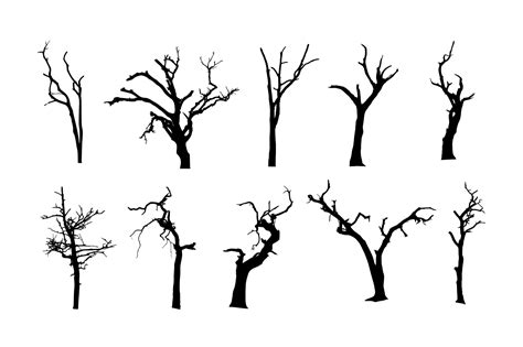 10 Spooky Dead Tree Silhouette (PNG Transparent) Vol. 2 | OnlyGFX.com