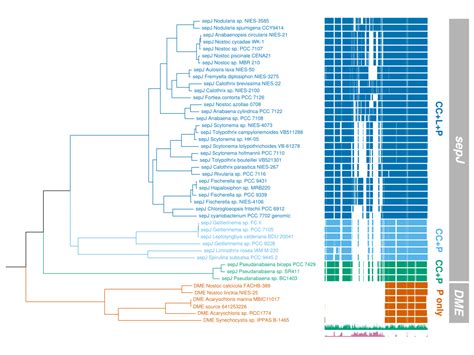 TreeViewer: flexible, modular software to visualise and manipulate ...