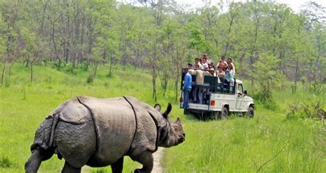 Chitwan Jungle Safari by Nepal Social Treks with 1 Tour Review (Code ...