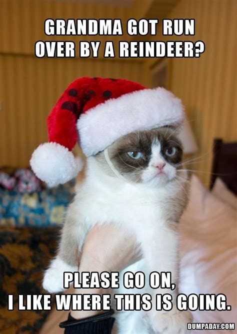 Grumpy Cat Hates Christmas Funny Meme – FUNNY MEMES