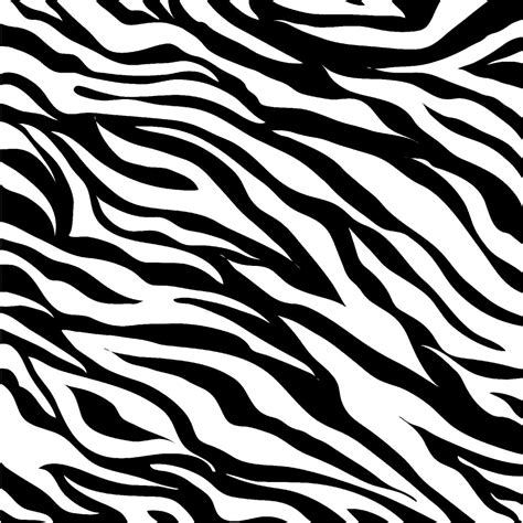 White zebra patterns - Free Stock Illustrations | Creazilla