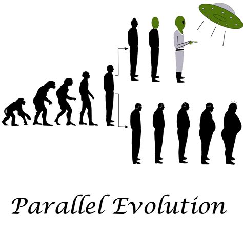 14 Mind-Blowing Facts About Parallel Evolution - Facts.net