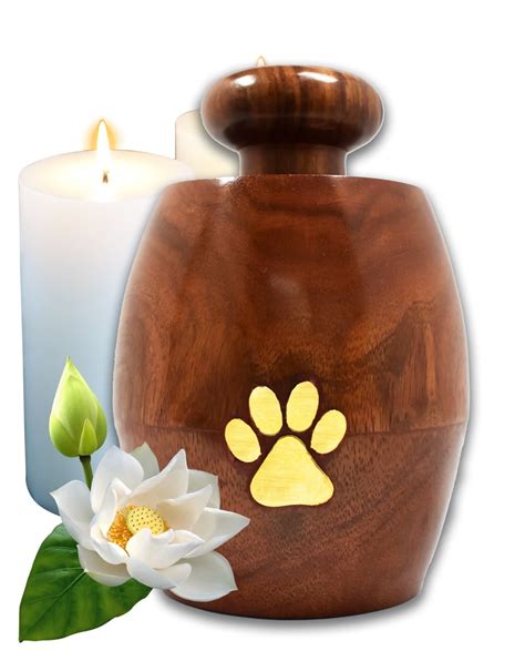 Lindia Artisans Beautiful Wooden Pet Urn Jar with Brass Paw Print ...