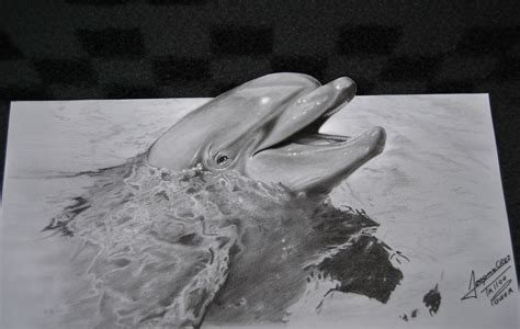 Realistic Dolphin Drawing