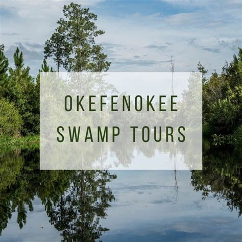 Okefenokee Swamp Tours: Which One to Pick? | Our Traveling Zoo