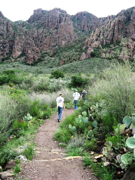 Texas Mountain Trail Daily Photo: Hiking in Big Bend National Park