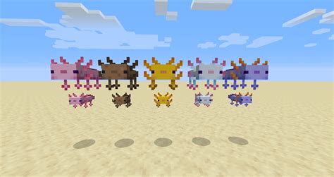 Rare Variant All Axolotl Colors Minecraft - This page tells you ...