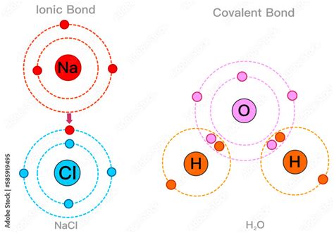 Vecteur Stock Ionic covalent bonds examples. Chemical structural models ...