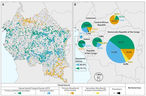 The Congo Basin rainforest, the second largest in the world, could ...