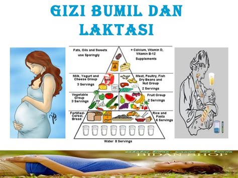 Gizi bumil dan laktasi