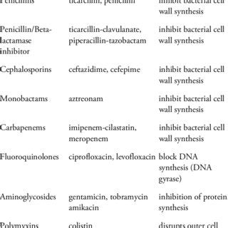 Pseudomonas Aeruginosa Pneumonia Antibiotic Treatment - Carpet Vidalondon