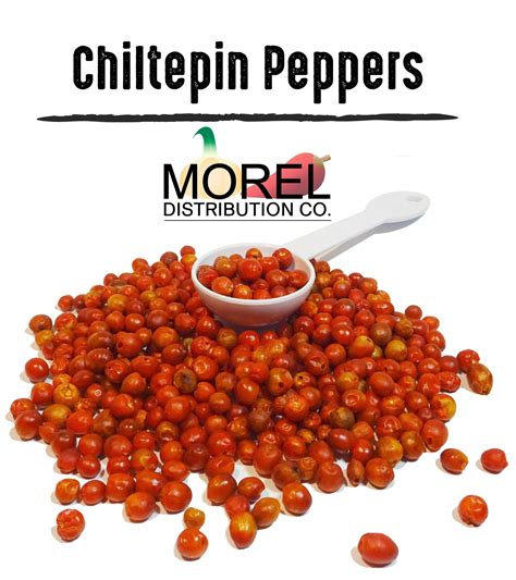 Chiltepin Pepper Seeds (Chilli Seeds) Bulk: (8 oz, 12 oz, 1 lb, 2 lbs ...