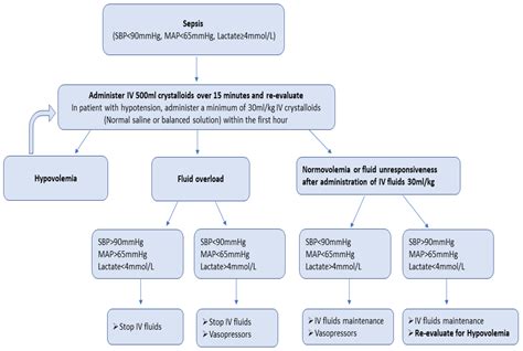 Medicina | Free Full-Text | New Insights into the Fluid Management in ...