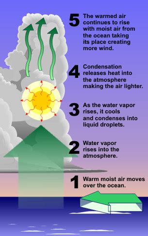 Tropical Cyclone Introduction | National Oceanic and Atmospheric ...