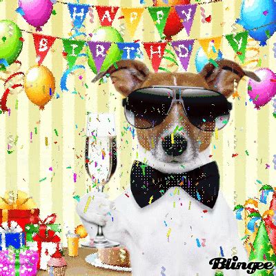 Confetti Dog Happy Birthday Gif birthday happy birthday quotes happy ...