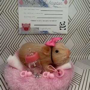 Silicone Teacup Pig Adoption Package - Etsy