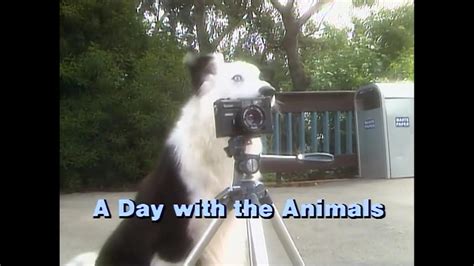 Kidsongs- A Day With The Animals 1986 Opening Scene - YouTube