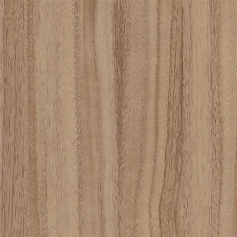 French walnut light wood fine texture seamless 04314