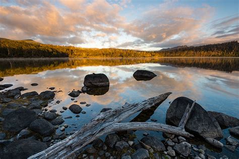 Lake St Clair (68901), photo, photograph, image | R a Stanley Landscape ...