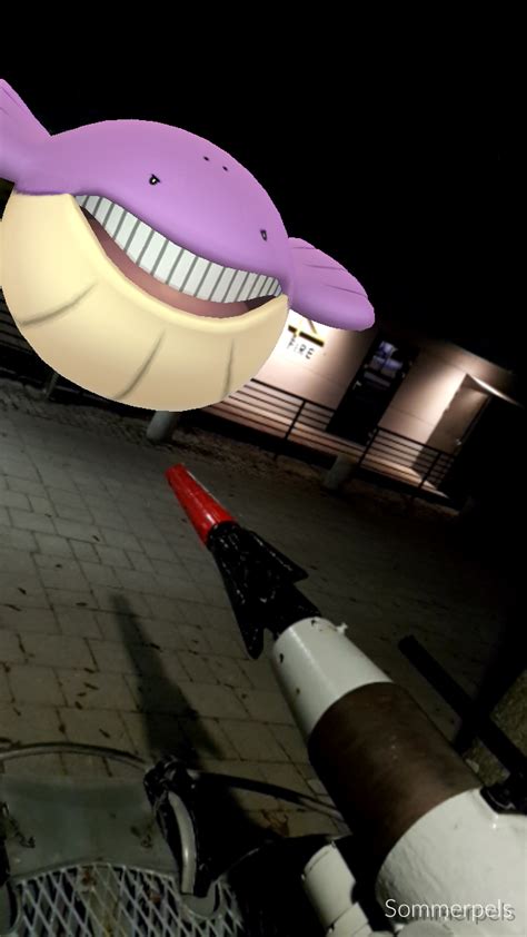 Shiny Wailmer Hunting : r/pokemongo