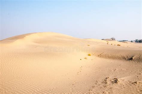 Brown Sand Dunes in the Thar Desert Stock Photo - Image of orange, heat ...