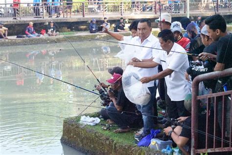 Lomba Mancing Nila dan Lele, Meriahkan HUT ke-128 Kota Negara ...