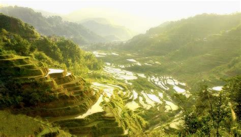 Ifugao rice terraces photos