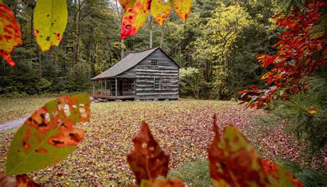 Best Spots for Capturing Fall Foliage in the Smoky Mountains | My ...