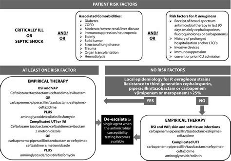 Pseudomonas & pseudomonas aeruginosa infections and treatment