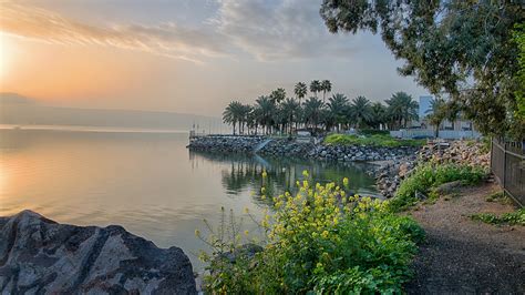 Ronny Light Photo | Sea of Galilee, Tiberias, Capernaum