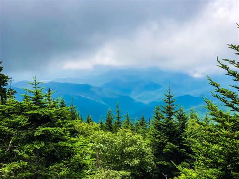 Clingmans Dome, Tennessee, 2017 : Outdoors