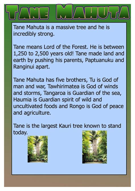 Tamariki Akoranga 17: Tane Mahuta and Matariki