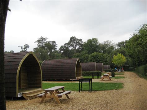 Sandy Balls New Forest Camping | TripReporter