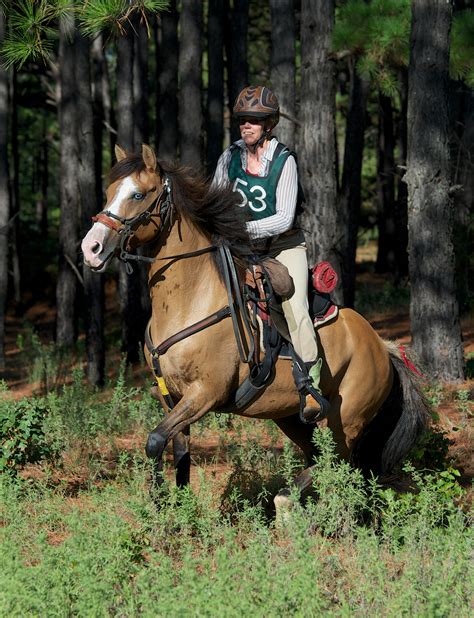 LBJ National Grasslands, Decatur TX – Where The Trails Are…